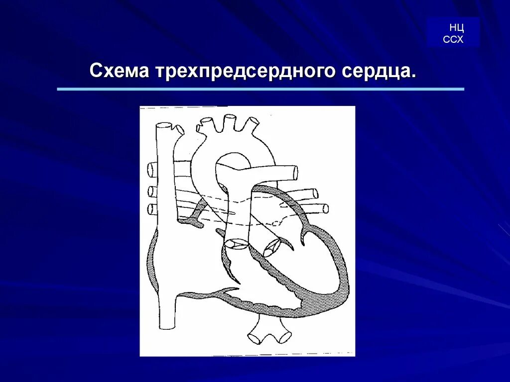 Веса. ) впс-40кд (769d) '. Впс 60. Весы гарант впс 60. Весы товарные госметр впс-60.