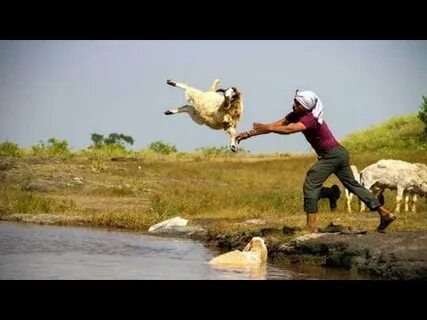 Throw into
