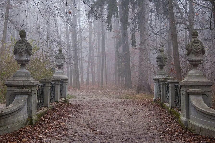 Парке пахнет хвойной тишиной. Готический сад в тумане. Старый парк в тумане. Ботанический сад туман. Туман в усадьбе м.