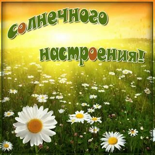 Погода замечательно