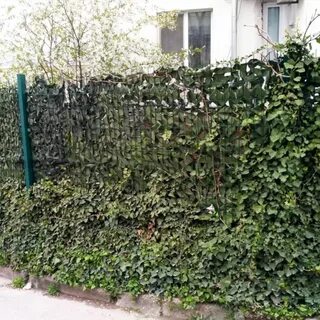 Маскировочный забор для дачи