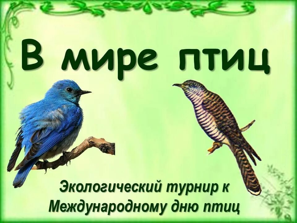 Классный час день птиц 1 класс. Название к Дню птиц для детей. Международный день птиц.