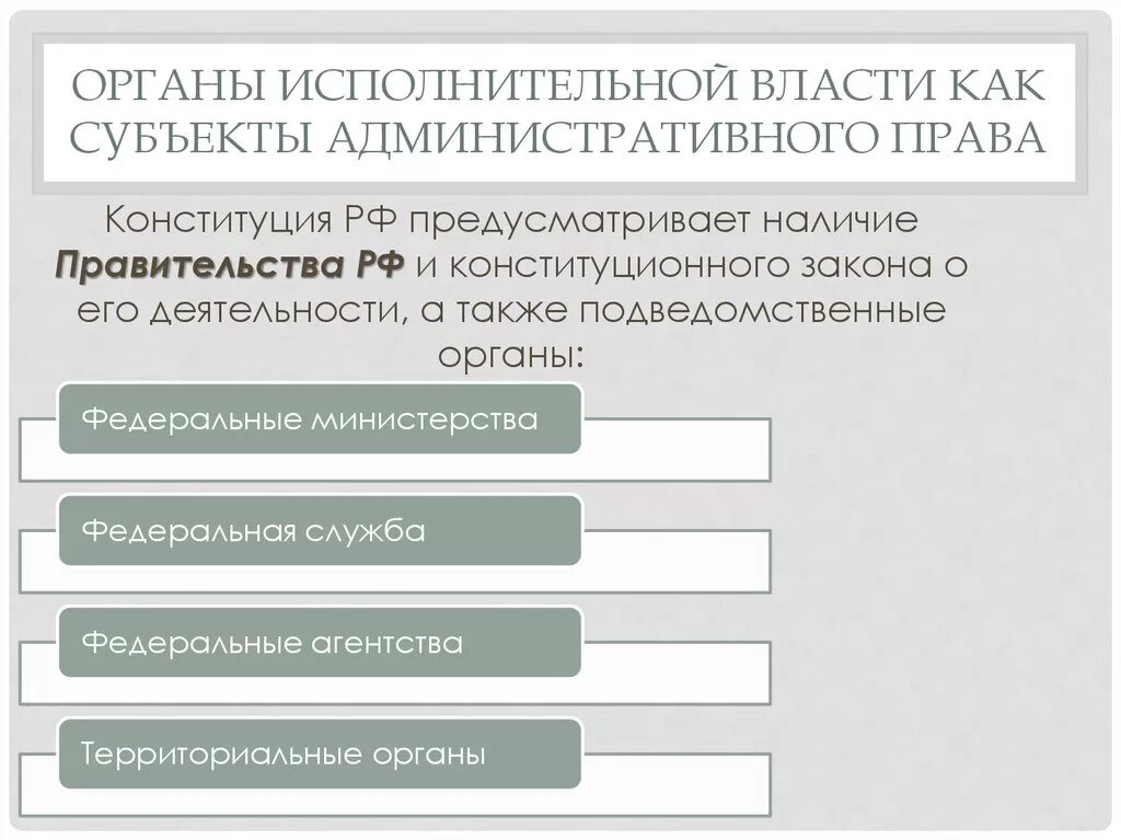 Субъекты исполнительной власти в административном праве