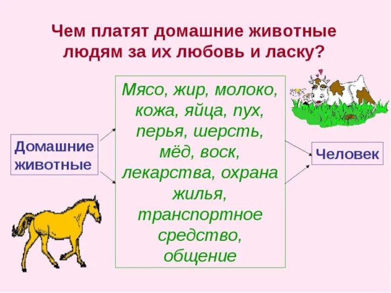 Презентация про домашних животных. Домашнее животные 2 класс. Дикие и домашние животные презентация. Домашние животные окружающий мир.