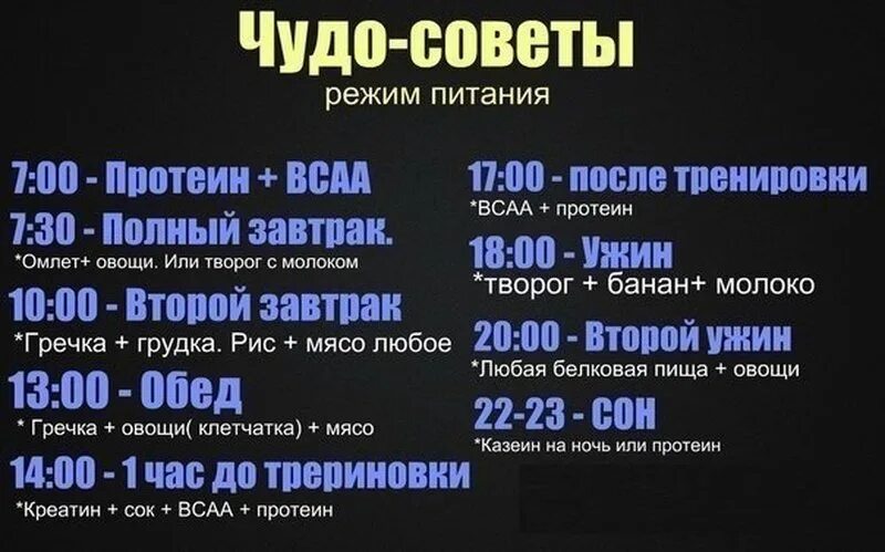 Распорядок дня тренировки