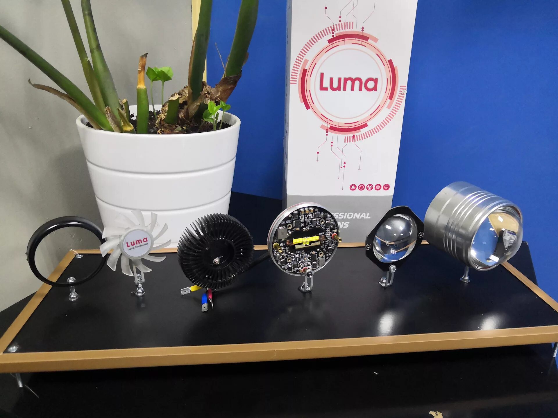 Luma al series a