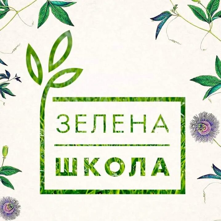 Школа зеленая улица. Зеленая школа. Zelyonaya şkola. Проект зеленая школа. Школа салатовый.