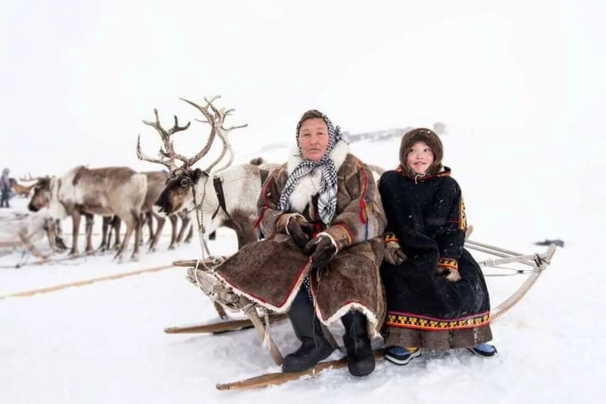 Фестиваль северных народов в норильске. Полуостров таймыр нганасаны. Долганы и якуты. Красноярский северных народов. Национальная одежда народа чулымцев.