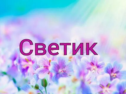 Светик цветочек сейчас