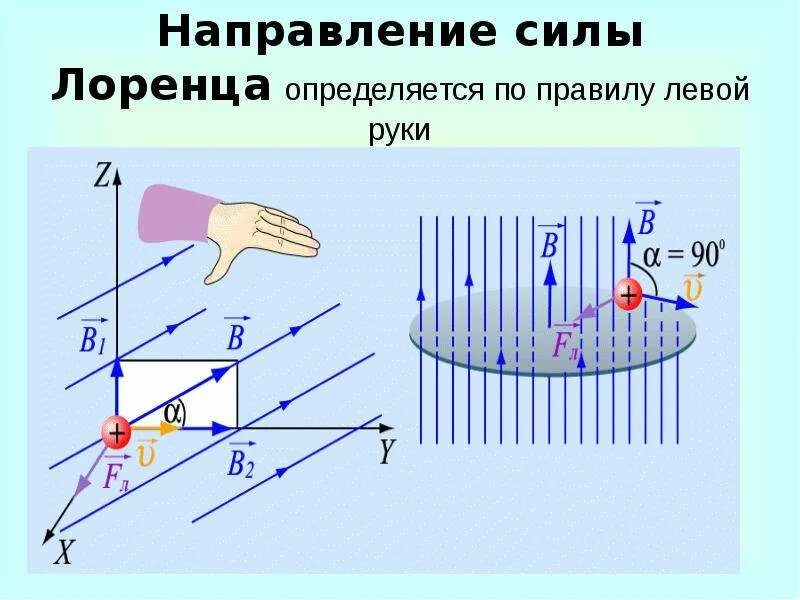 Направление силы Лоренца определяется. Сила Лоренца направление силы. Направление силы Лоренца для электрона. Правило левой руки для магнитного поля сила Лоренца. Правило для определения направления силы лоренца