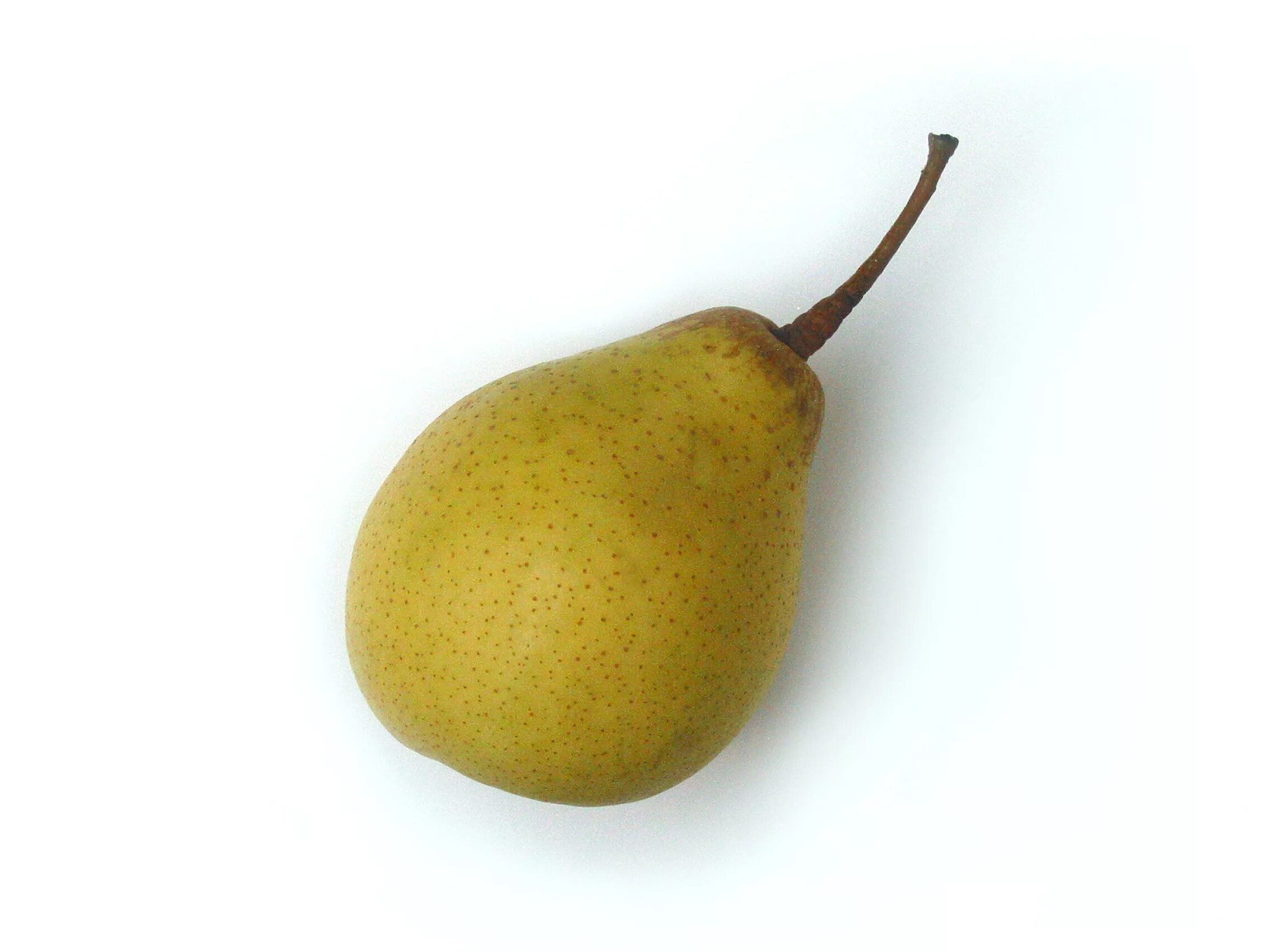 Pear 6. Груша Куйбышевская золотистая. Анжуйская груша. Груша SSANGYONG.