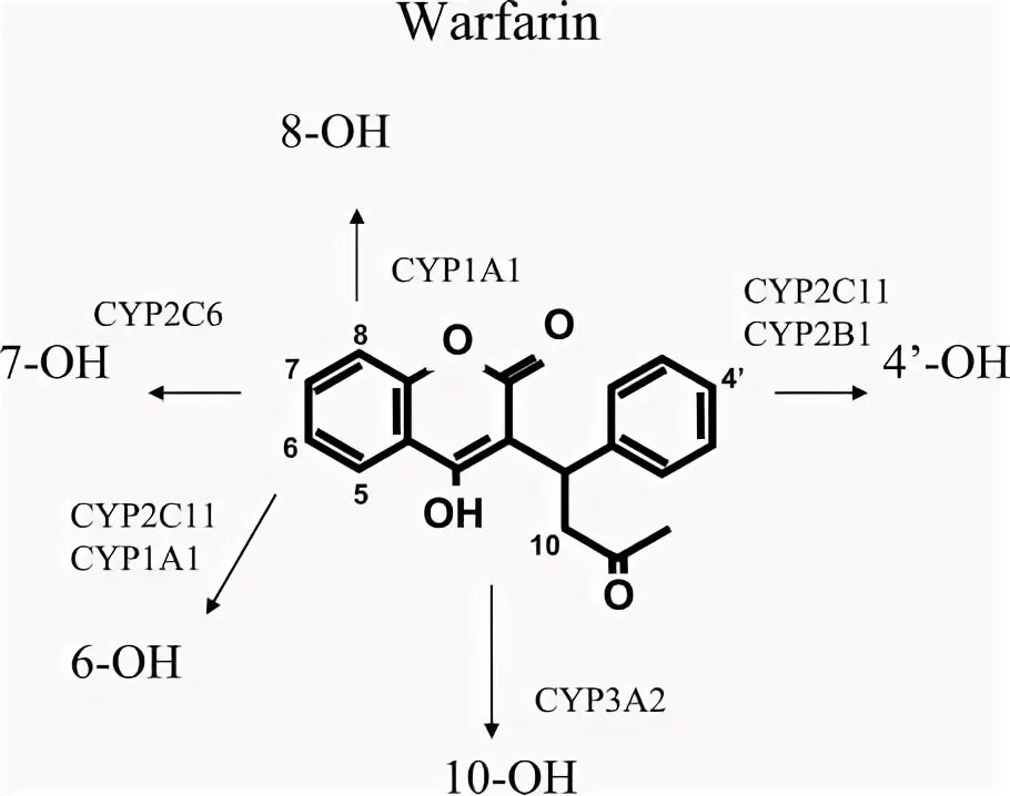 Варфарин это. Варфарин и дикумарол. Варфарин формула. Варфарин химическое строение. Варфарин структура.