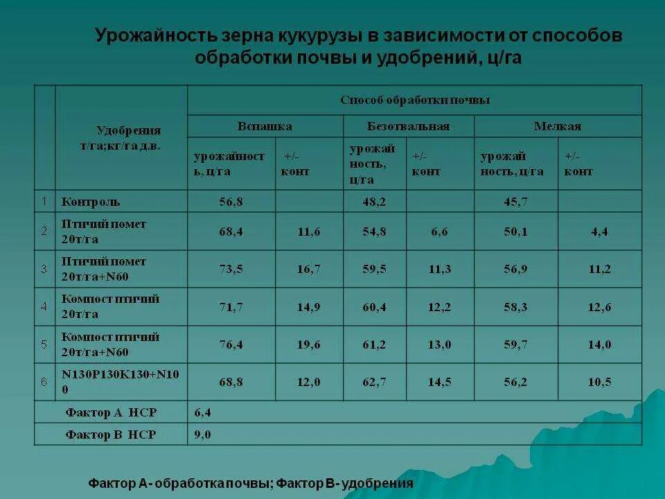 Урожайность кукурузы с гектара. Урожайность кукурузы на зерно. Средняя урожайность зерновых культур. Расчет урожайности зерна.