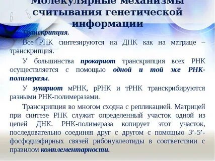 Реализация наследственной информации транскрипция