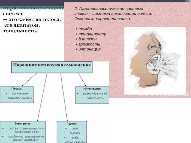 Система вокализации. Паралингвистическая и экстралингвистическая системы знаков. Паралингвистическая коммуникация это. Паралингвистика невербальное общение. Паралингвистика примеры.