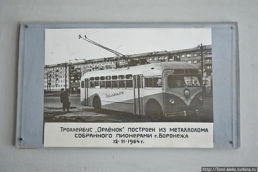 Троллейбус деньги. Венгерский троллейбус. троллейбус в 70 годах воронеже. троллейбус семидесятых. воронеж троллейбус памятник.