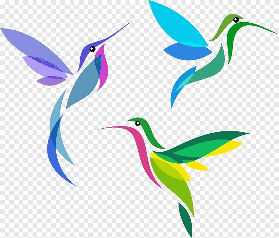 Стилизованная птица. Стилизация птиц в цвете. Векторные изображения птиц. Цветные силуэты птиц.