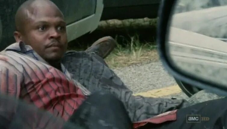 Ти дог. Ти дог. Айрон синглтон ходячие мертвецы. Ти-дог ходячие мертвецы. Ти дог из ходячих мертвецов.