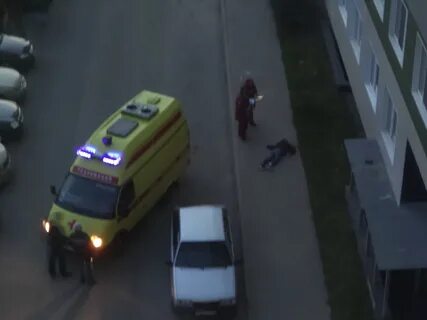 Выпал целый