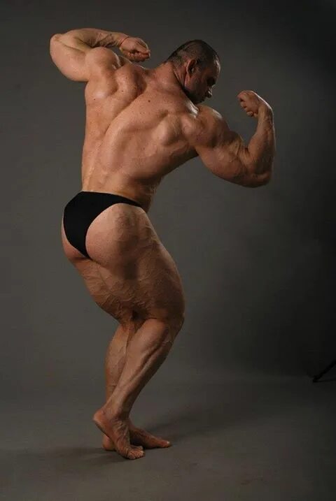Pin on Bodybuilder Inspiration
