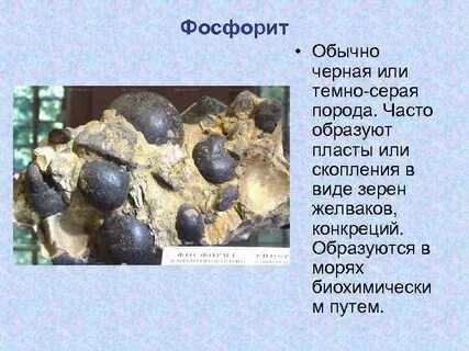 Фосфориты где