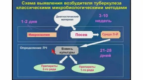 Методы выявления микобактерий туберкулеза