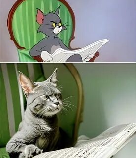 Мем с томом и джерри