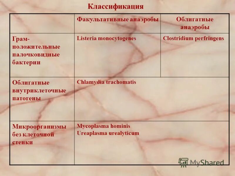 факультативные и облигатные анаэробы. облигатные и факультативные аэробы. факультативные аэробы.