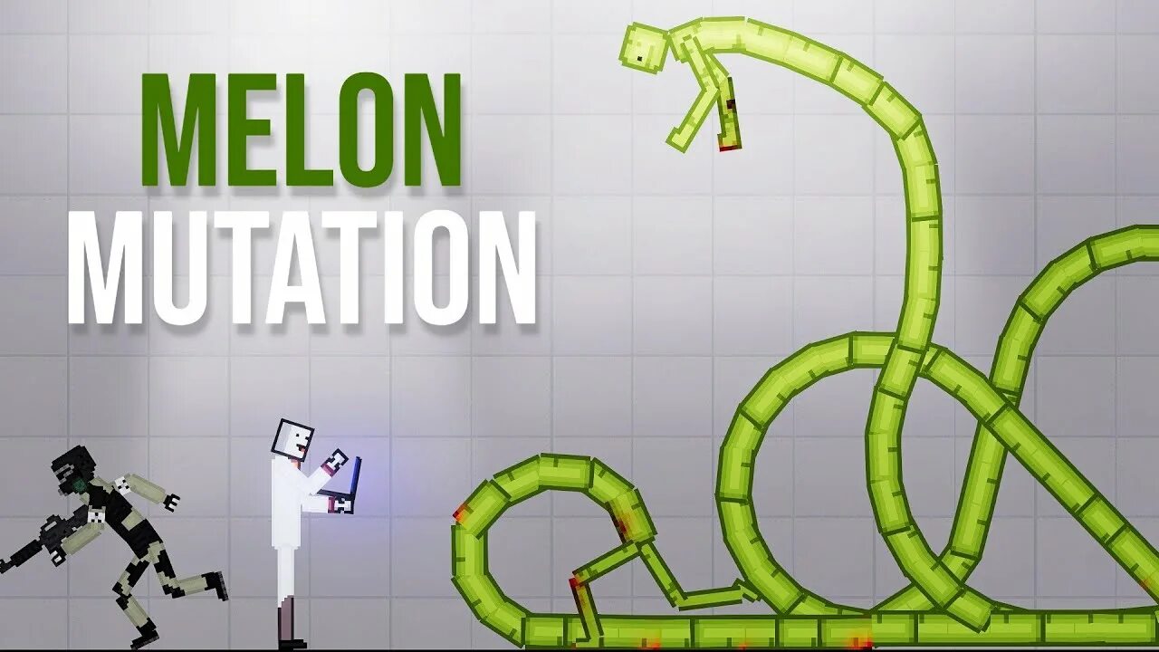 Melon vs melon. Melon vs melon