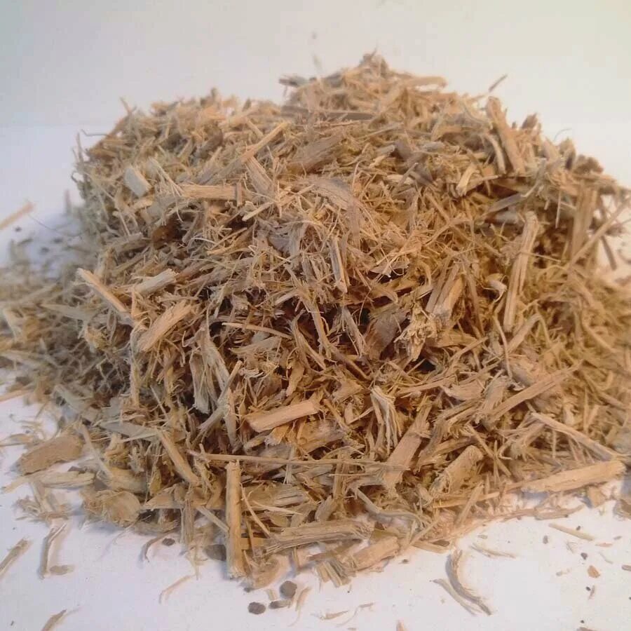 элеутерококк колючий фармакогнозия. элеутерококк (корень). корень элеутерококка. элеутерококк колючий корневища и корни. элеутерококк колючий сырье.