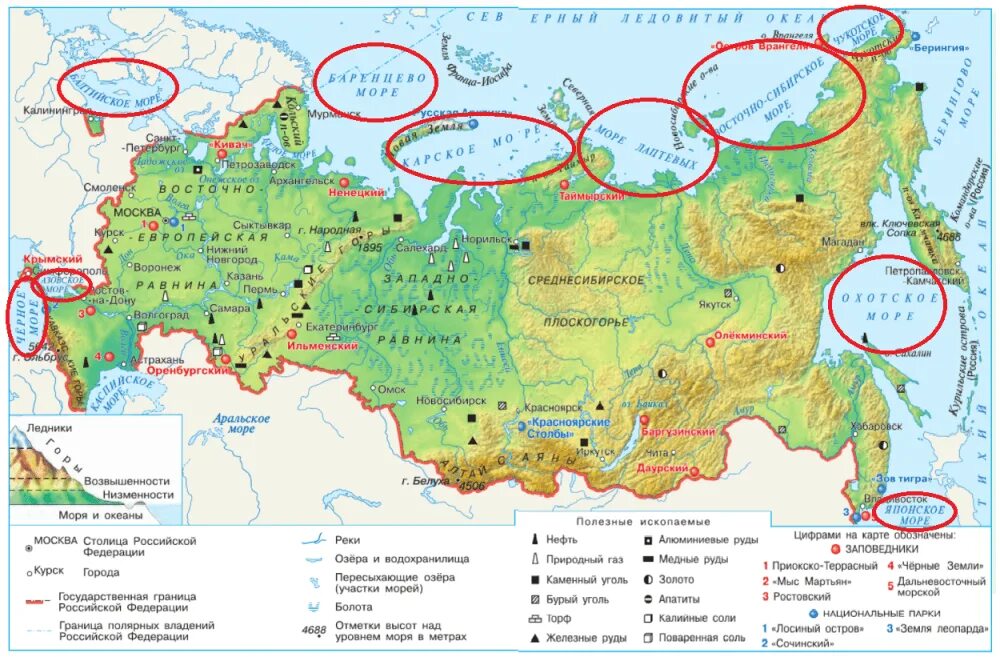 Моря окружающие Россию. Моря окружающие Россию на карте. Моря России на карте 4 класс. Карта морей окружающих Россию.