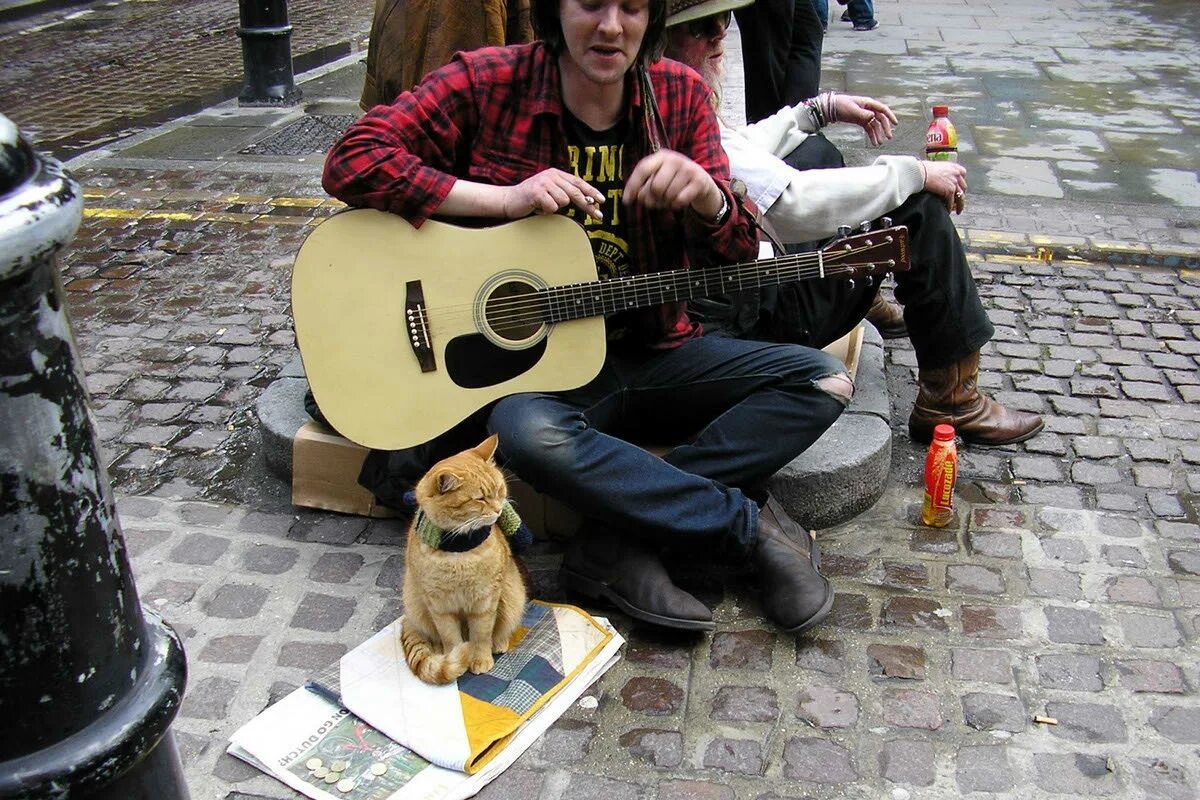 Музыкант и кот боб. Уличный кот по кличке боб (2016). Музыкант и кот боб. Музыкант и кот боб. Музыкант и кот боб.