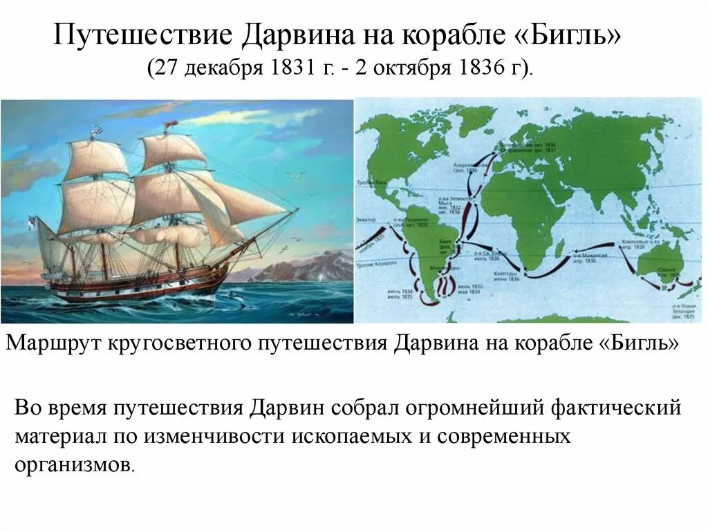 Ч дарвин кругосветное путешествие. Дарвин кругосветное путешествие Бигль. Кругосветное путешествие Дарвина на корабле Бигль. Маршрут кругосветного путешествия на Бигле Дарвин.