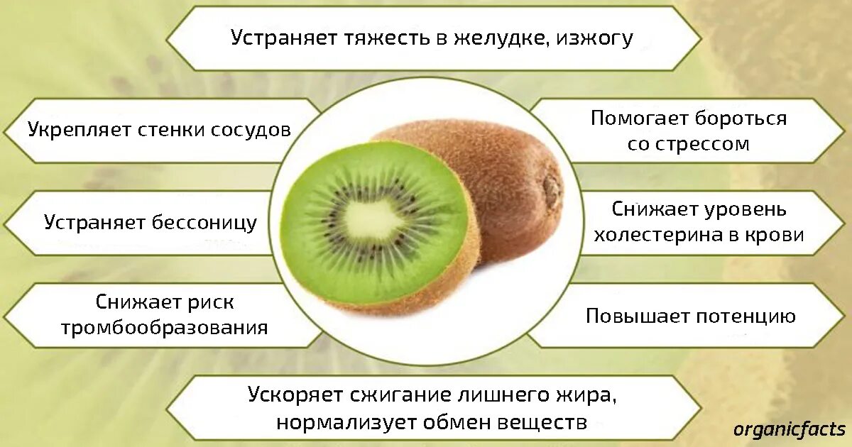 Что содержится в киви. Чем полезен киви для организма. Киви полезна для организма. Для чего полезен киви. Киви чем полезен фрукт для организма человека.