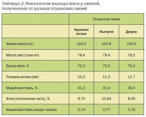 Как считать выход. Процент выхода мяса свинины от живого веса. выход мяса со свиньи 150 кг. выход мяса свинины от живого веса таблица. таблица выхода мясо крс живого веса.