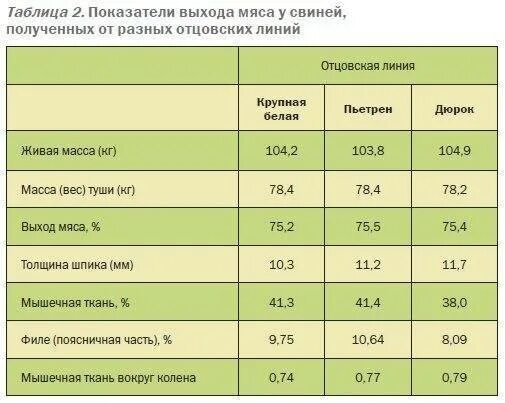 Мясо живой вес цена. Выход мяса свиньи от живого веса таблица. Живой вес свиньи таблица выхода мяса. Выход мяса свинины от живого веса таблица. Таблица выхода мясо КРС живого веса.