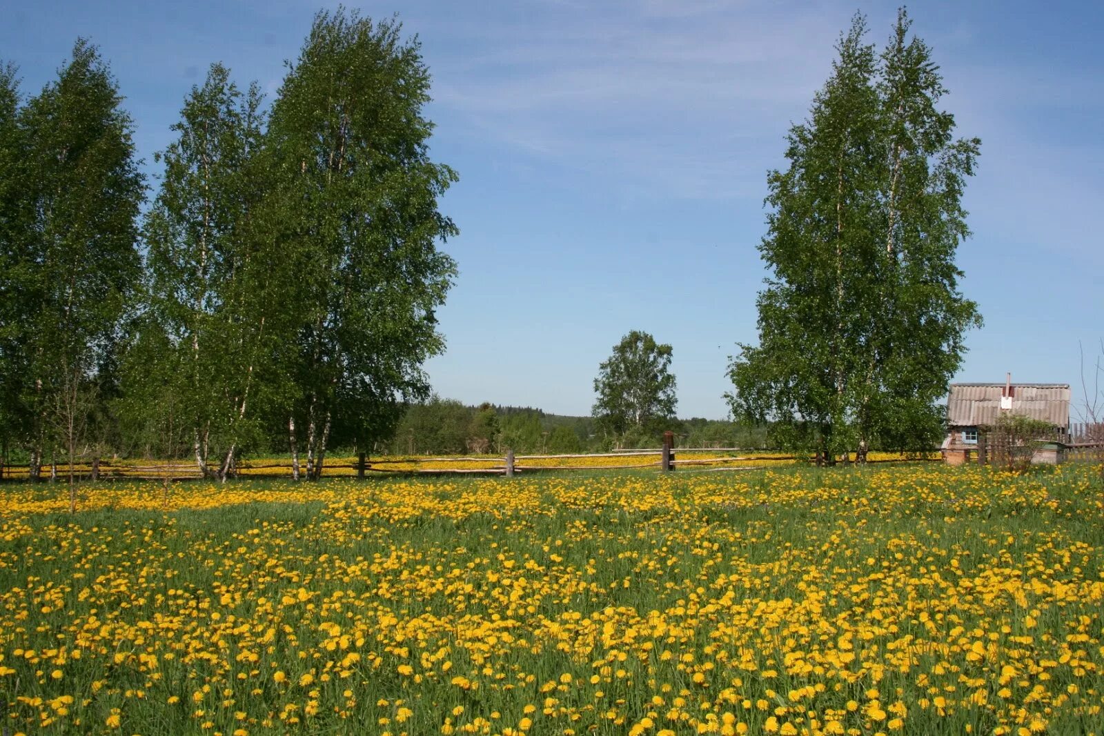 Погода село майские. Май в деревне. Природа в деревне в мае. Желтые цветы в деревне.