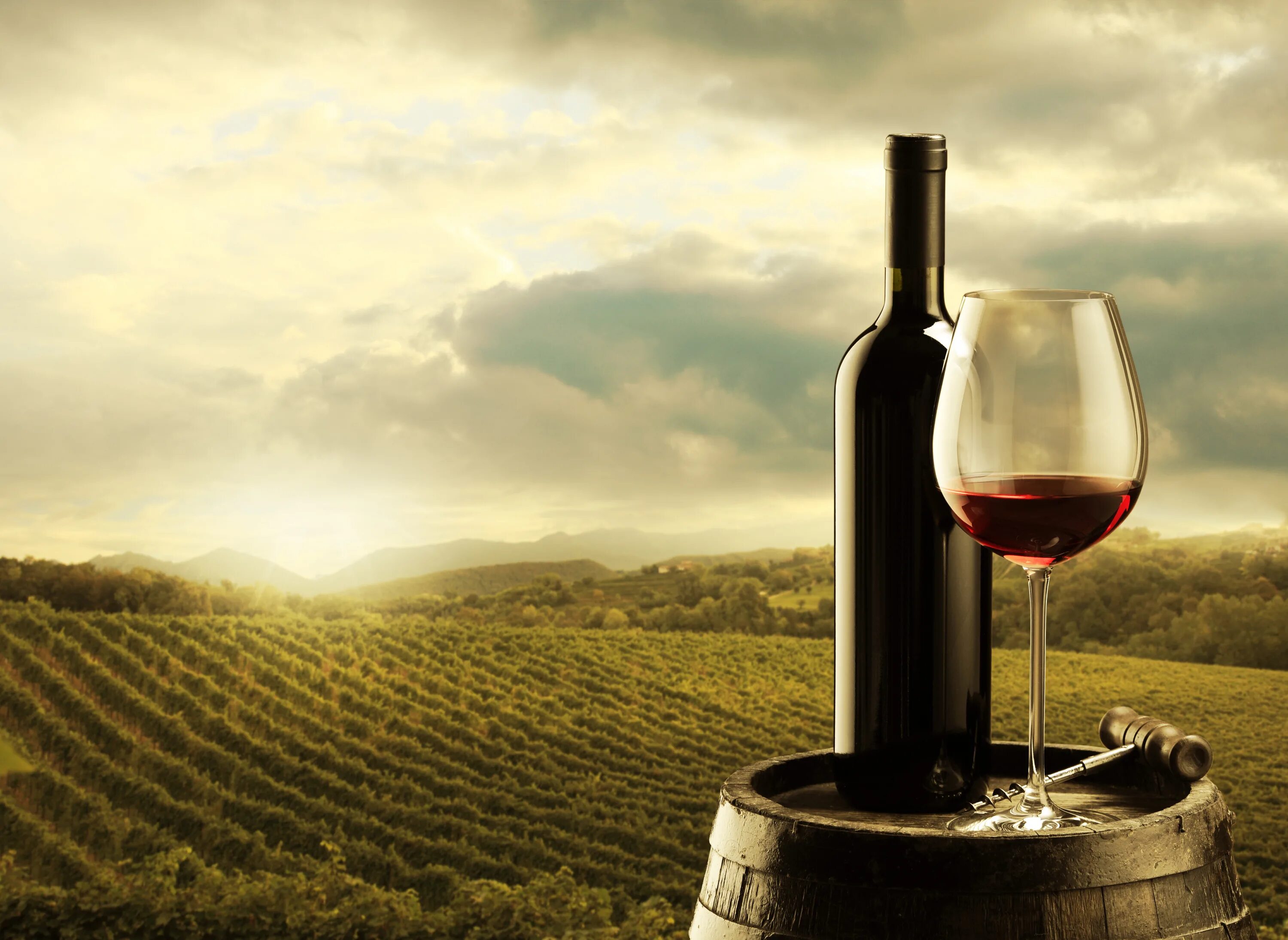Винодельни Тосканы. Супертосканские вина. Шато Андре винодельня. Бутылка вина. Вторая половина вина