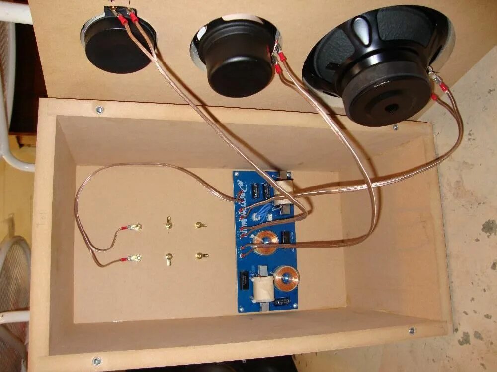 A speaker of the program. How speakers work. how to rewire a subwoofer box.