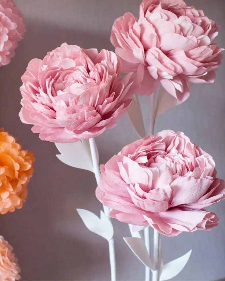 Цветы из гофрированной бумаги. Гофробумага ранункулус. Цветоделие из гофрированной бумаги. Пион гофробумага. Цветы изгофрированой бумаги.