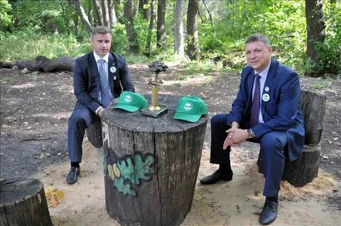 Лесничество ростов