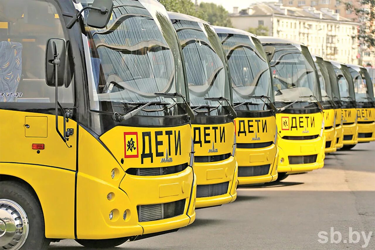 Специализированные автобусы для перевозки детей. Школьный автобус. автобус для детей. перевозка групп детей автобусами.