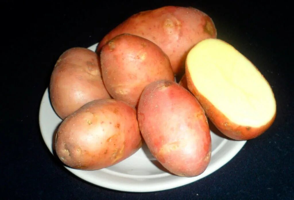 Сорт картофеля луговской. Сорт картофеля луговской. Сорта картофеля луговская. Сорт картофеля луговской. Картофелина картошка.