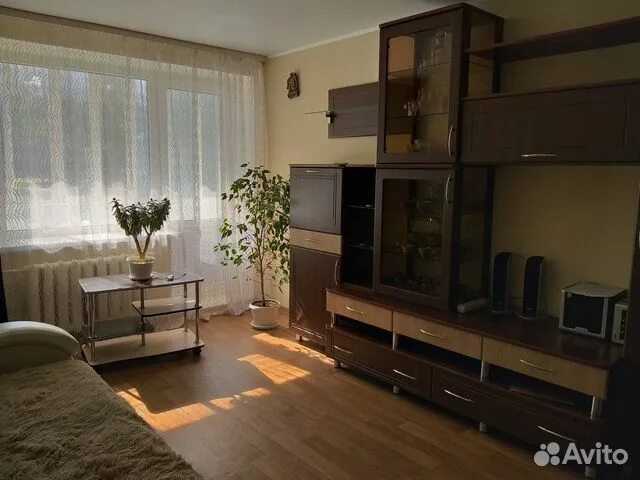 Авито дятьково брянской. Однокомнатная квартира в дятьково на авито. авито дятьково объявления от частных лиц.