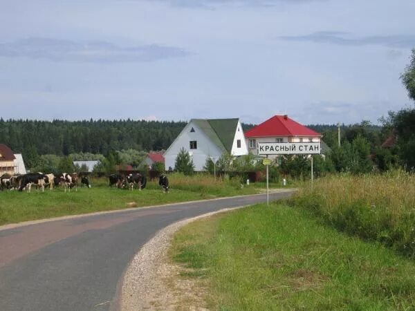 В деревне красные есть. Деревня красный стан Можайского района. Красный стан Можайск. КП красный стан Можайский район. Красный стан Можайский район база отдыха.