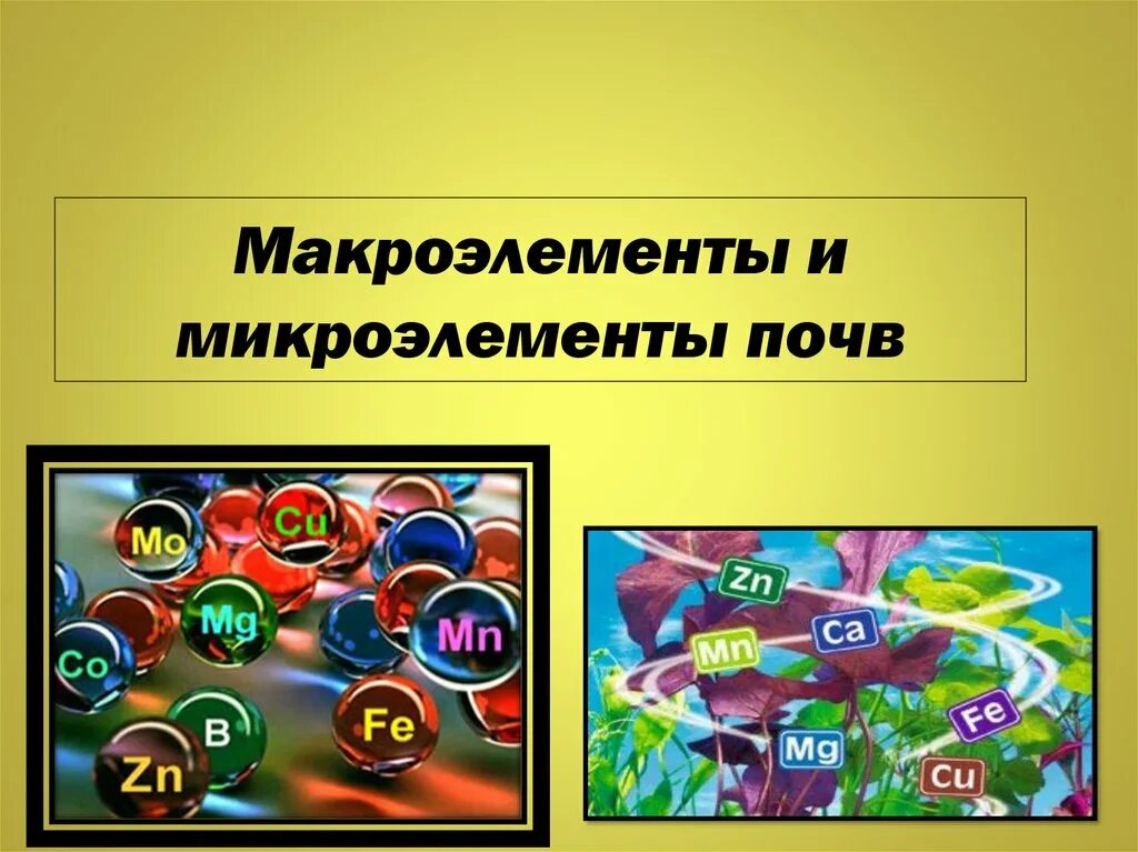 Макроэлементы. Макроэлементы и микроэлементы. Макроэлементы это в биологии. Макро и микроэлементы в почве. Микро презентация