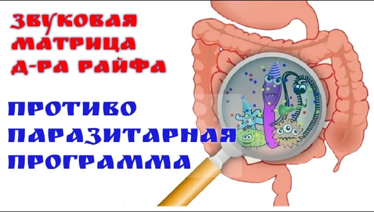 Антипаразитарная программа гаряев. Матрица гаряева антипаразитарная. звуковая матрица гаряева. частоты доктора райфа.