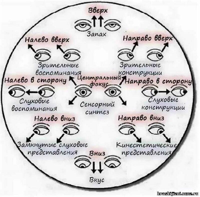 Источники чувств человека. Движение глаз психология. Направление взгляда. Направление взгляда психология. Положение глаз.