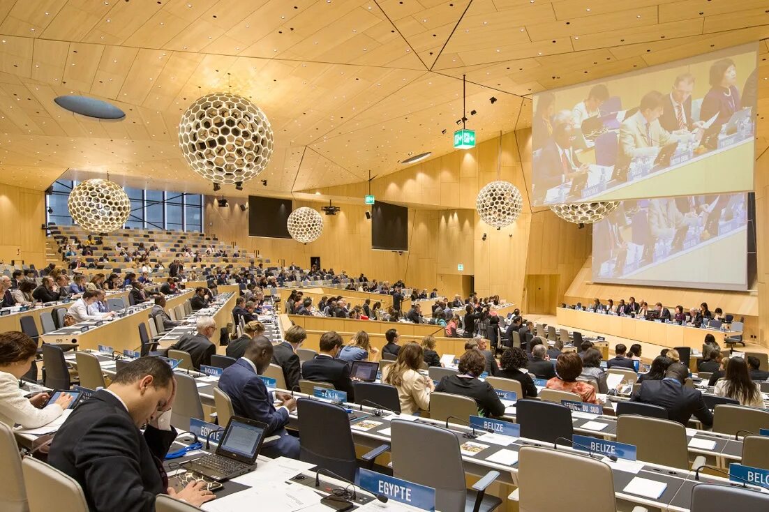 Воис. Структура воис. Интеллектуальная собственность международные организации. Всемирная организация интеллектуальной собственности цели и задачи. Международные соглашения в сфере интеллектуальной собственности.