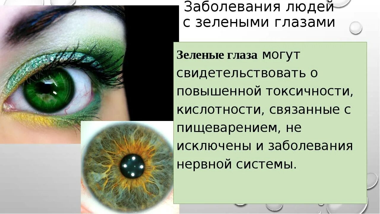 Зеленые глаза сколько в мире